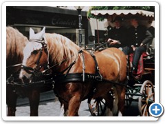 1995 Schützenfest