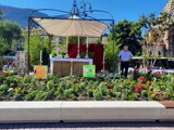 Sonntag Prozession zum Walhter Platz 40